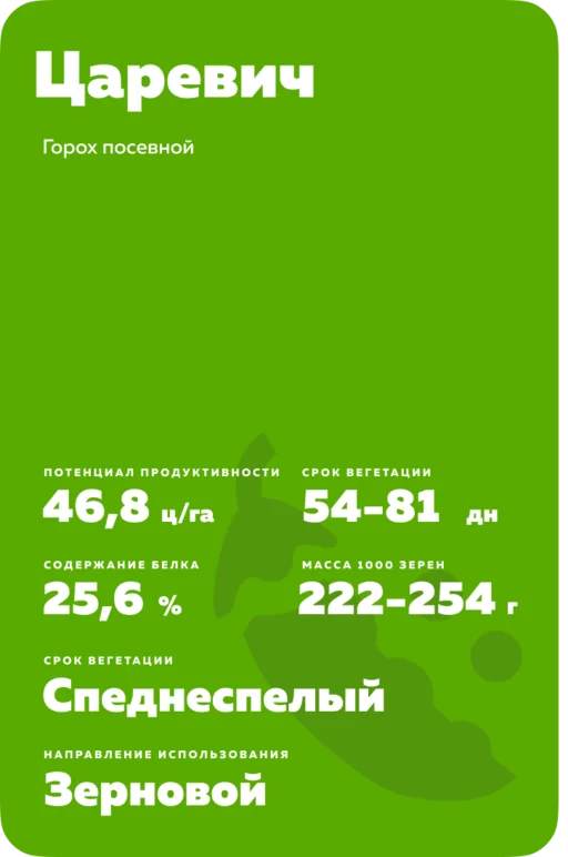 Царевич сорт гороха посевного
