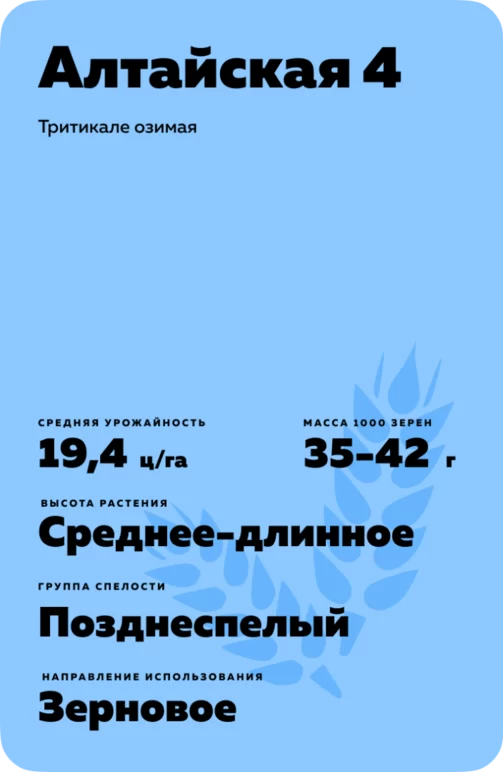 Алтайская 4