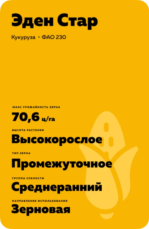 Эден Стар