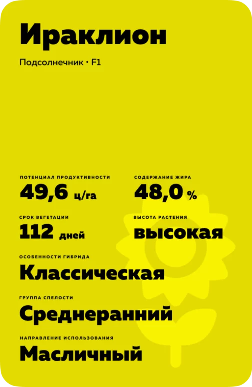 Ираклион