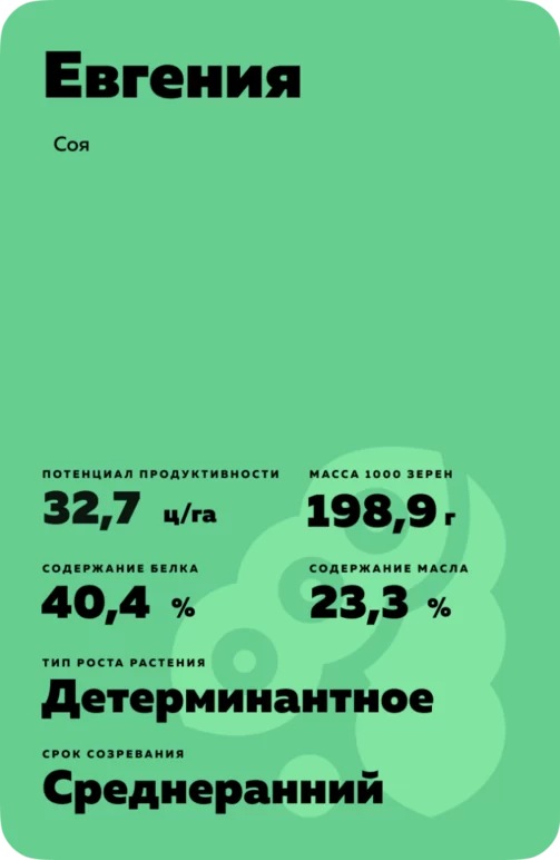 Евгения сорт сои