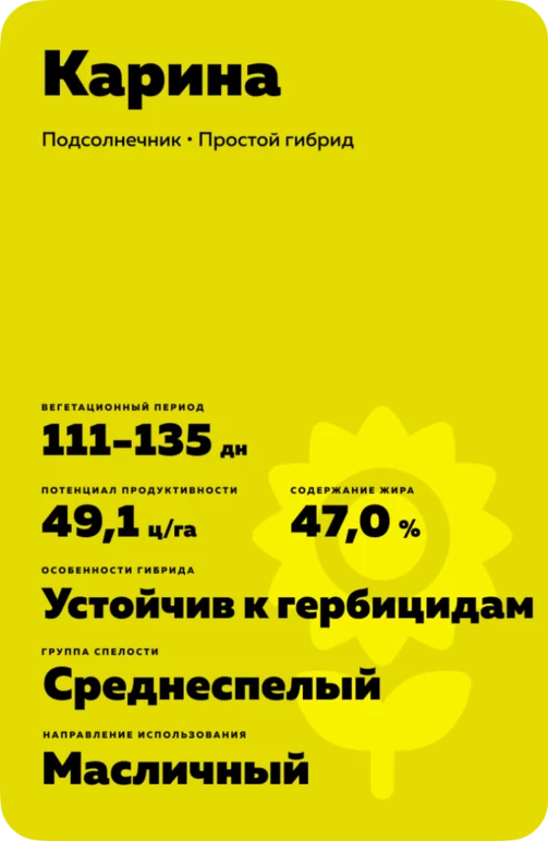 Карина подсолнечник
