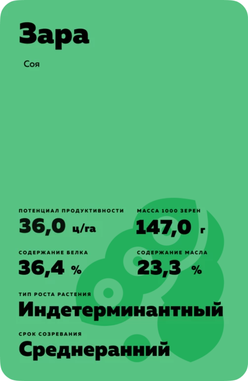 Зара  сорт сои