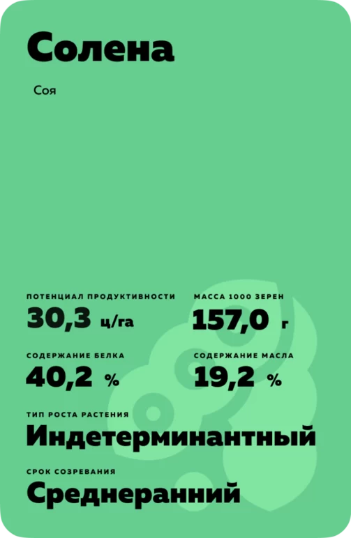 Солена