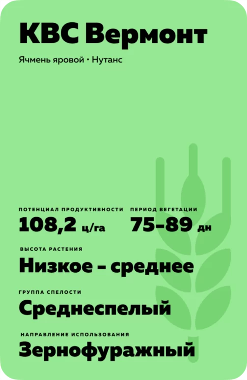 КВС Вермонт (KWS VERMONT) сорт ярового ячменя