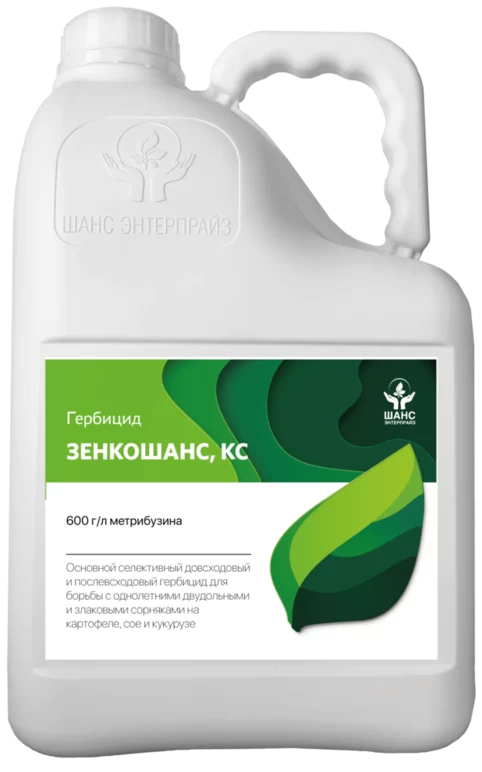 Зенкошанс, КС