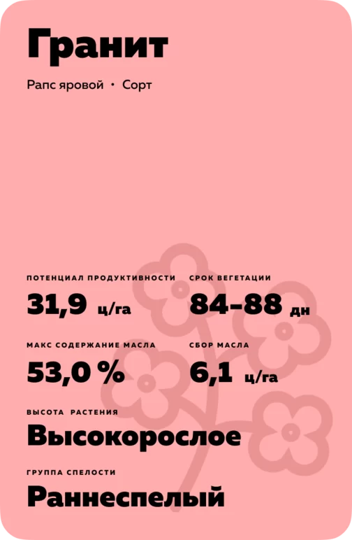 Гранит сорт рапса ярового