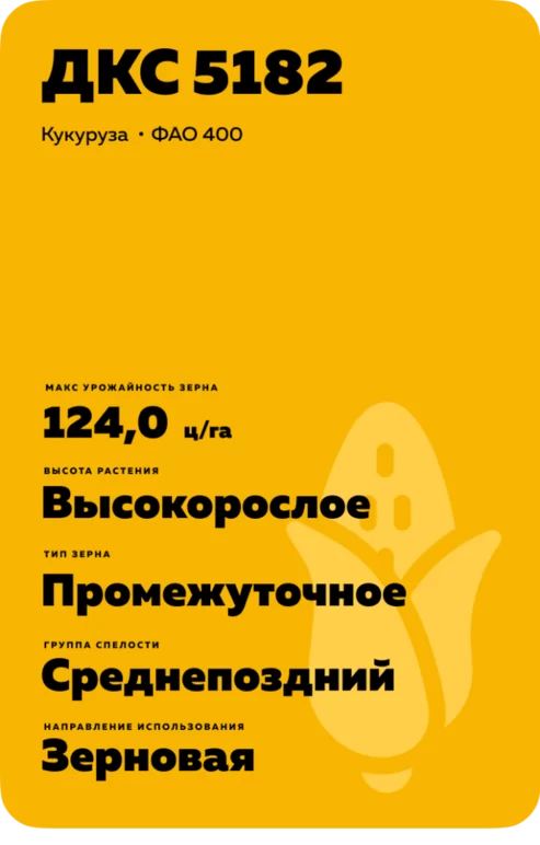 ДКС 5182 (DKC5182) гибрид кукурузы