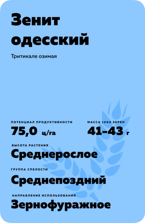 Зенит одесский