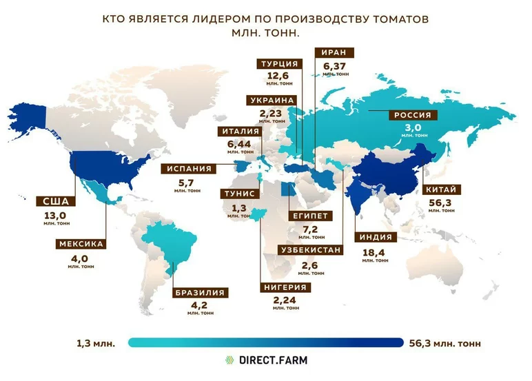 Кто является лидером по производству томатов?