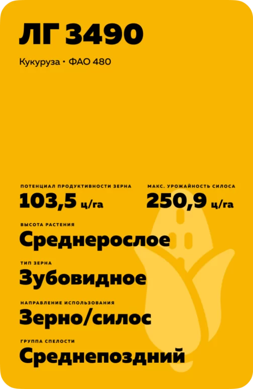 ЛГ 3490 (LG 3490) гибрид подсолнечника Лимагрейн