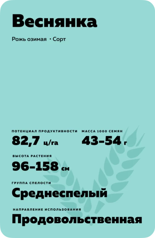 Веснянка рожь озимая