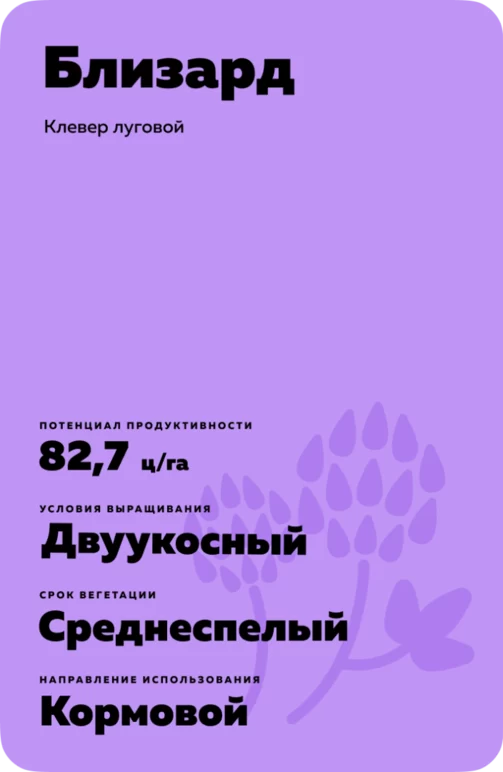 Близард