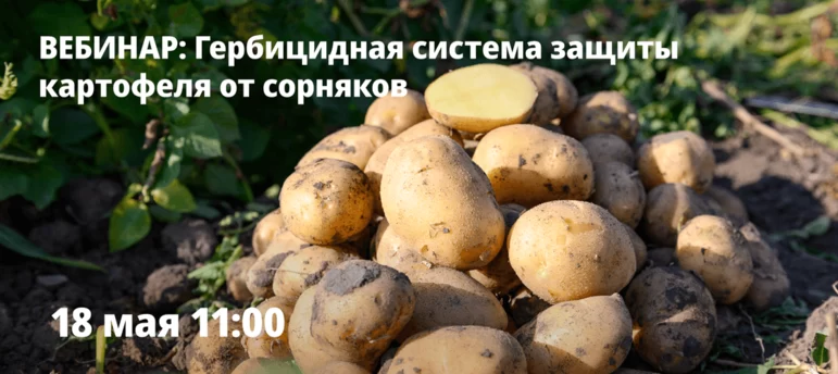 Приглашаем на вебинар: "Гербицидная система защиты картофеля от сорняков"