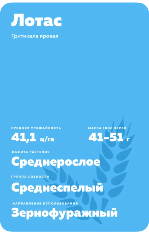 Лотас