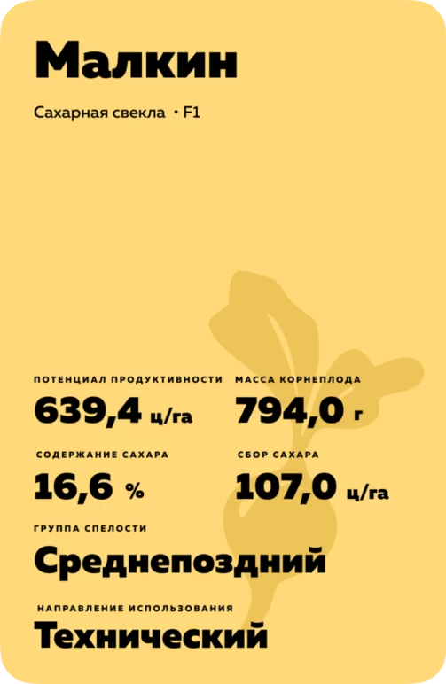 Малкин - гибрид свеклы сахарной Штрубе Рус