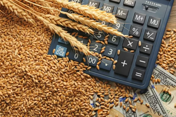 Пошлина на экспорт пшеницы из РФ с 3 по 9 августа понизится до 4 626,8 руб/т