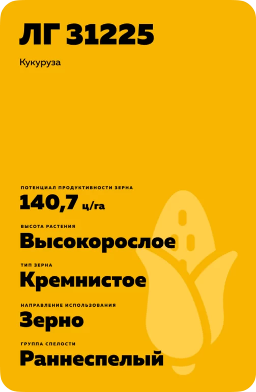 ЛГ 31225 гибрид кукурузы
