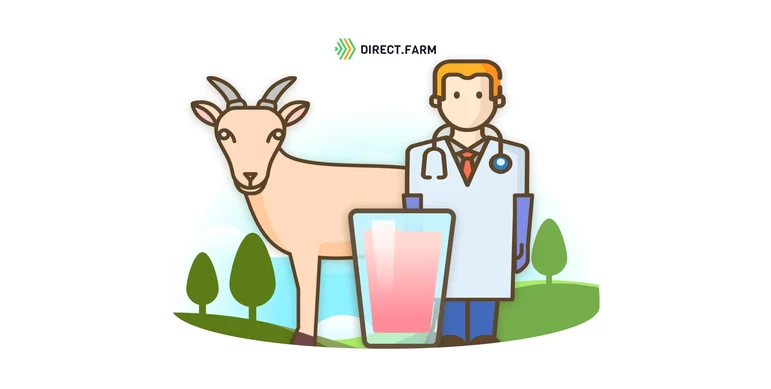 Кровь в молоке у козы: причины и способы их решения