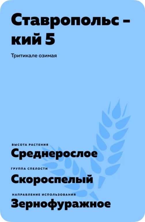 Ставропольский 5