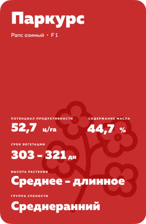 Паркурс (PARCOURS) рапс озимый