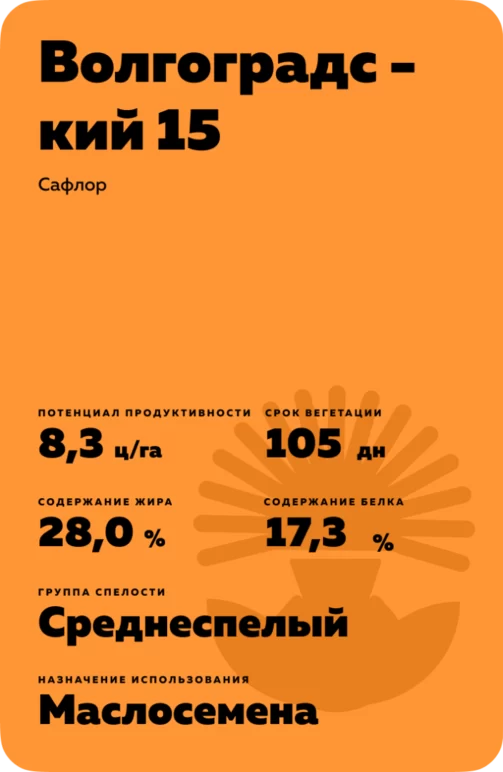 Волгоградский 15
