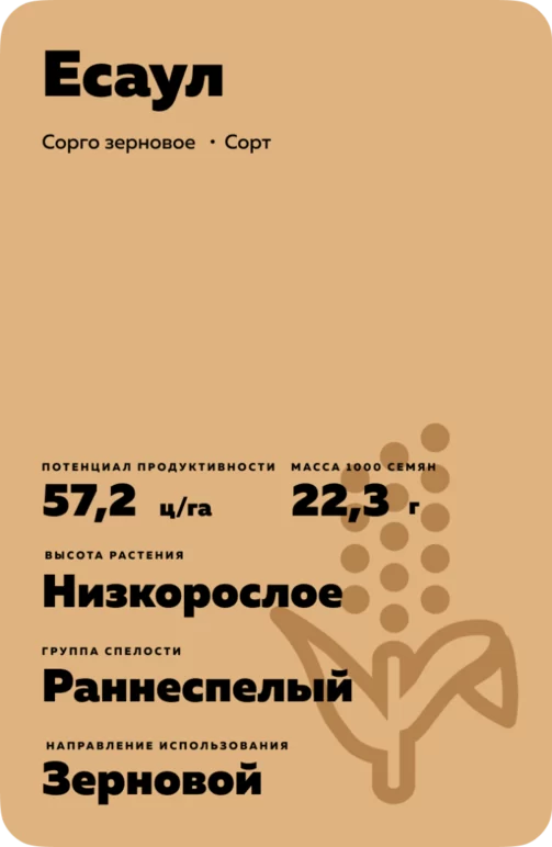 Есаул