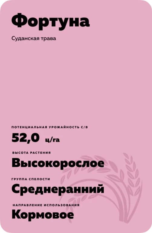 Фортуна