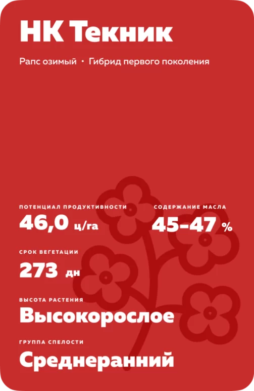 НК Текник (NK TECHNIC) рапс озимый