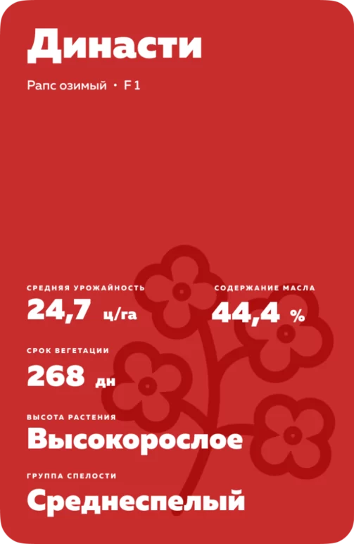 Династи