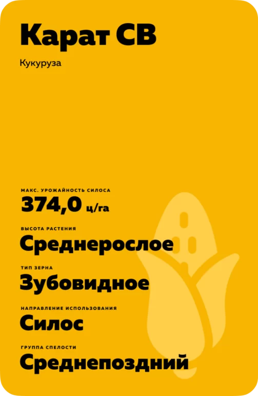 Карат СВ гибрид кукурузы