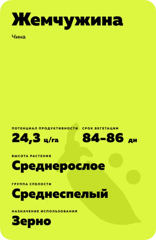 Жемчужина