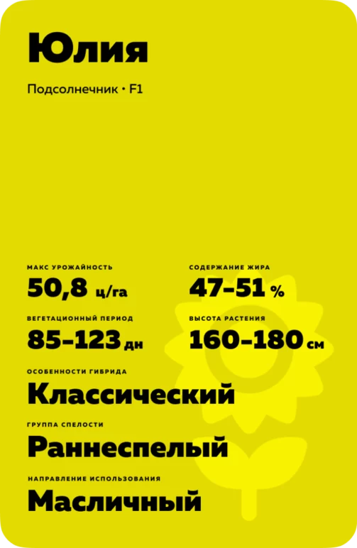 Юлия гибрид подсолнечника