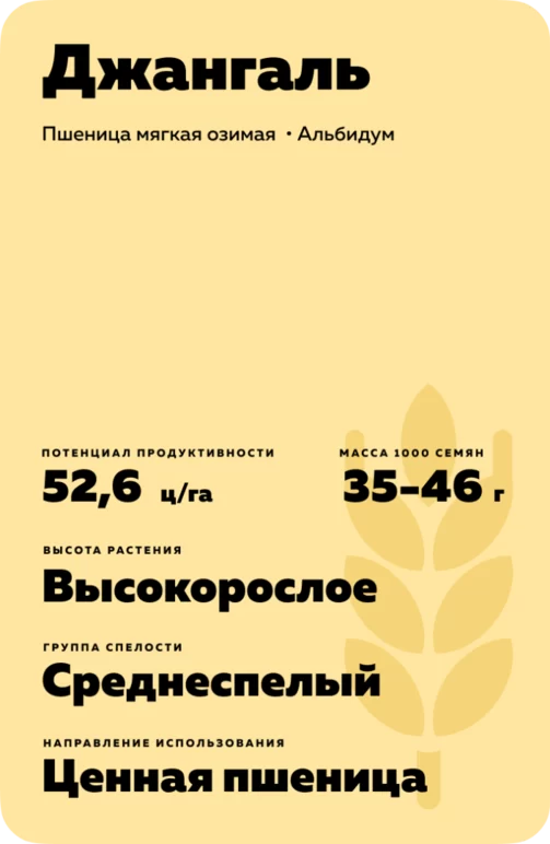 Джангаль
