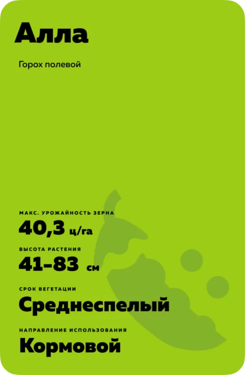 Алла