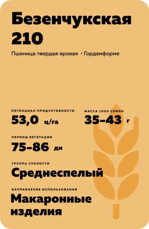 Безенчукская 210