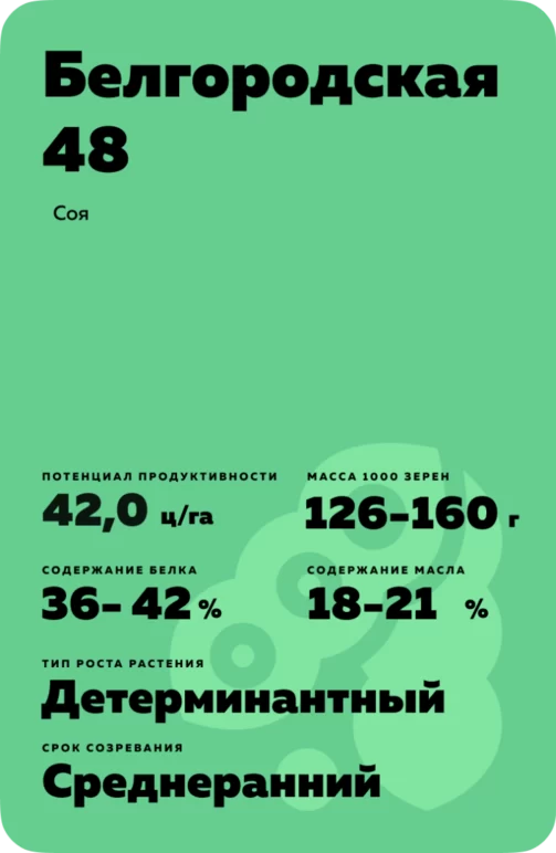 Белгородская 48