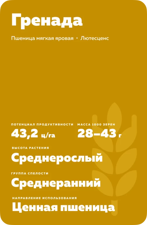 Гренада  сорт мягкой яровой пшеницы