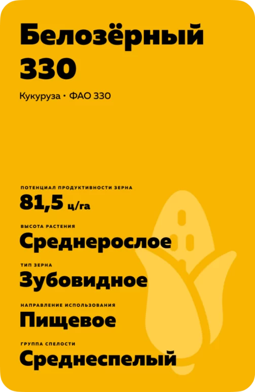 Белозерный 330 гибрид кукурузы