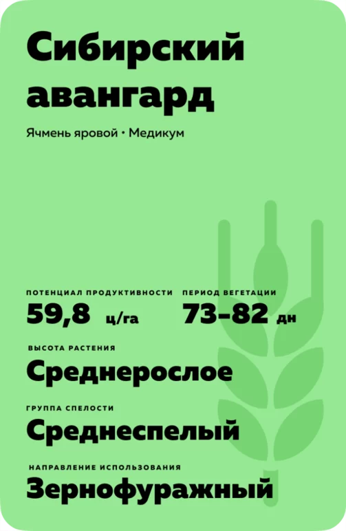 Сибирский авангард