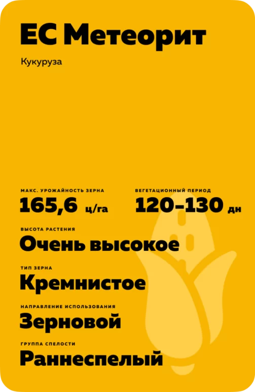 ЕС Метеорит