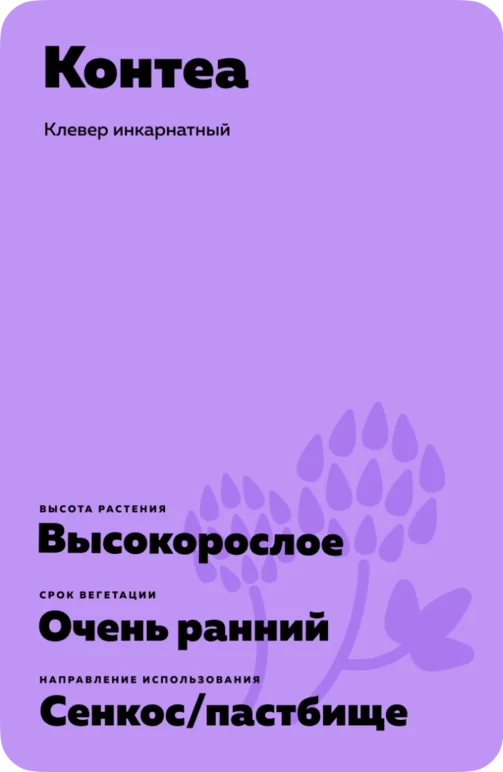 Контеа (CONTEA)