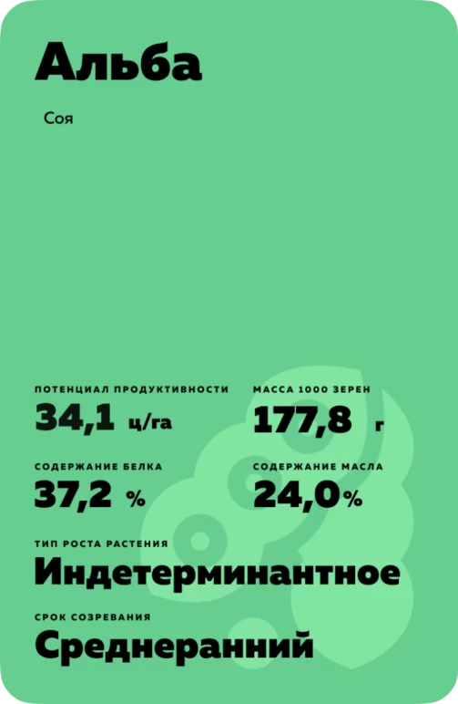 Альба