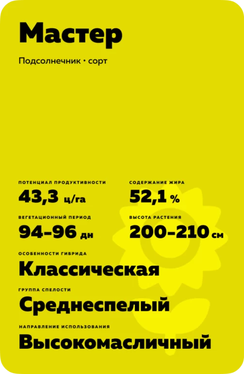 Мастер сорт подсолнечника