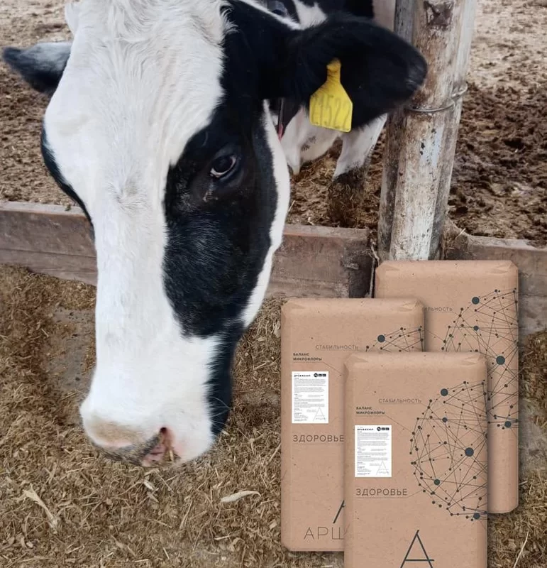 Испытание функциональной кормовой смеси РАМ на дойных коровах