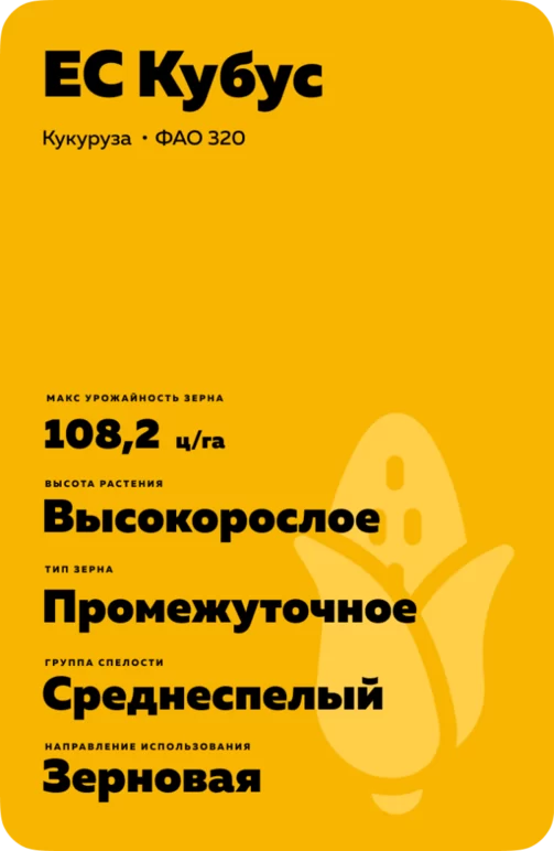 ЕС Кубус (ES CUBUS)