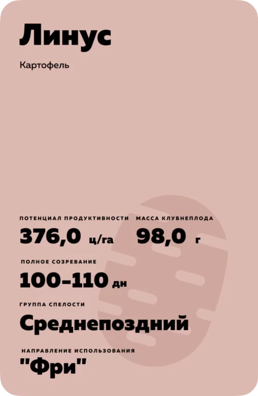 Линус