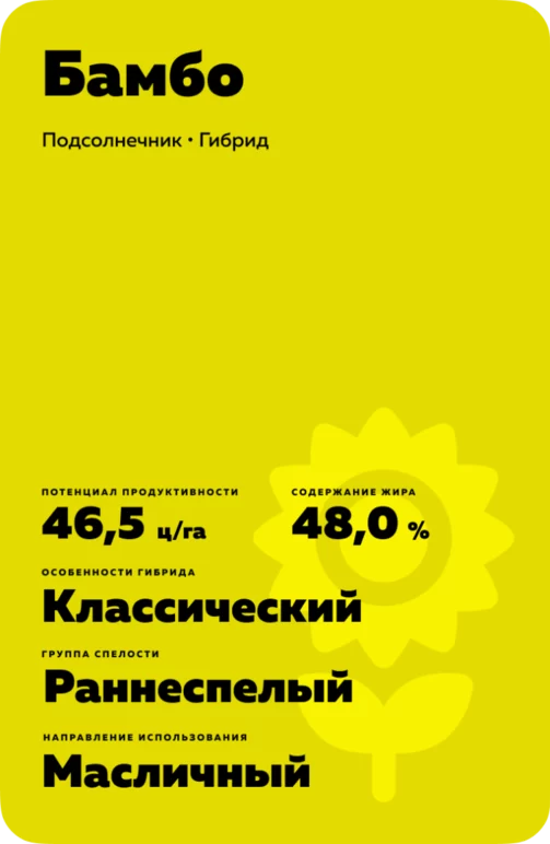 Бамбо