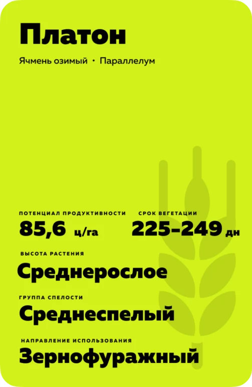 Платон