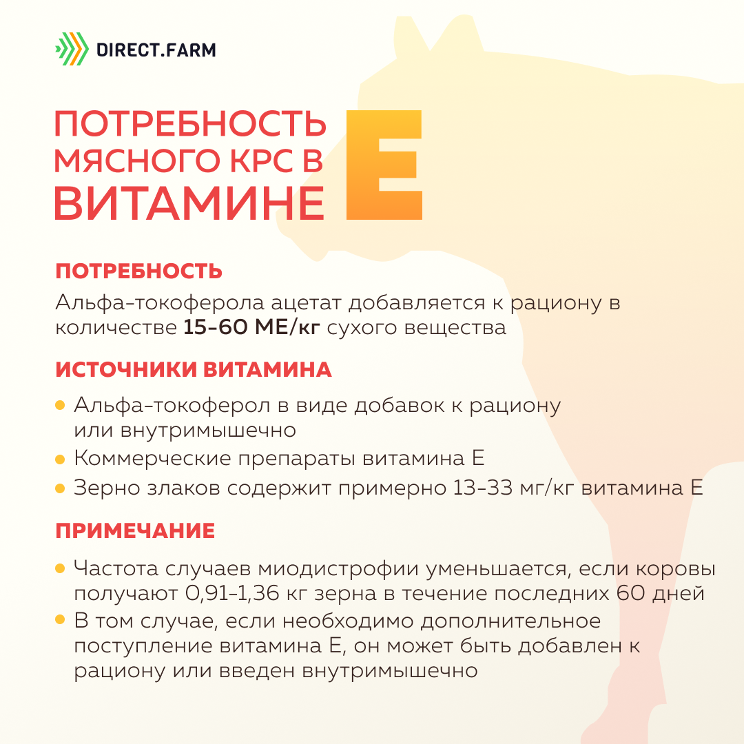 Токоферол Внутримышечно – Telegraph